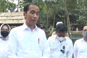 Jokowi tanggapi usulan Luhut soal TNI bertugas di kementerian