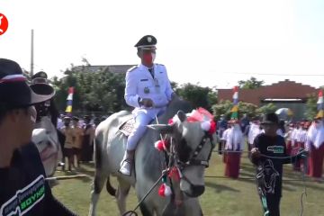 Camat Colomadu tunggangi sapi menuju lapangan upacara