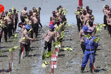 Cegah abrasi, Polda Aceh tanam 77 ribu pohon