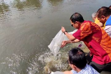 Dinas Perikanan Semarang tebar 52.000 benih ikan jaga ekosistem sungai
