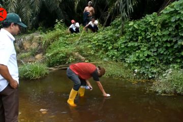 DLHK Aceh Timur ambil sampel air sungai tercemar