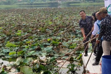 Langkah Pemkot Cilegon kembangkan kawasan ekowisata Situ Rawa Arum