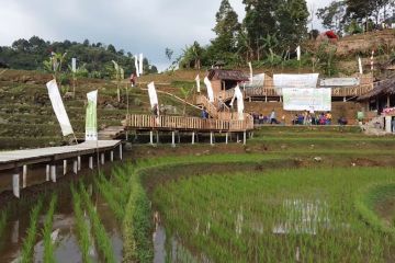 Pemkab Bogor siapkan jambore desa wisata bagi wisatawan asing