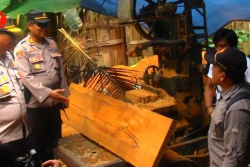 Polres Lumajang gerebek dua gudang penyimpanan kayu ilegal