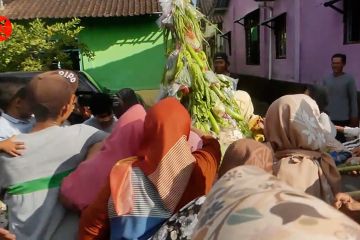 Rebutan gunungan agung di gerebek Kyai Selojoyo saat Muharam tiba