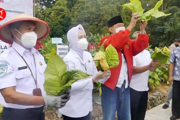 BMKG melatih petani untuk menggunakan layanan digital smart farming