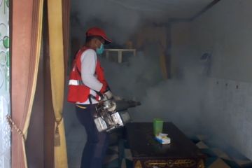 DBD makan 1 korban jiwa, PMI Jember gencarkan fogging di 3 kecamatan