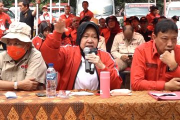 Risma pastikan naiknya harga telur bukan karena bansos