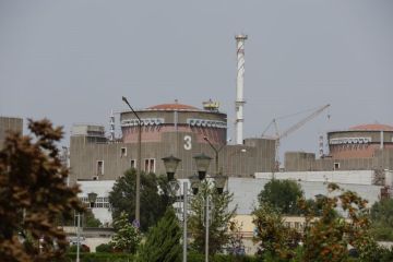 Operator: Reaktor nuklir Ukraina mati digempur Rusia