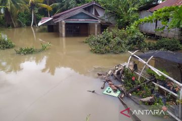Kerugian banjir di tujuh wilayah Bengkulu mencapai Rp148 miliar