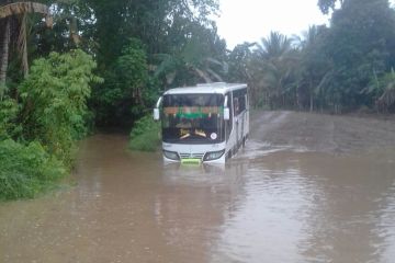 Layanan angkutan perintis Damri menjangkau wilayah Ambon