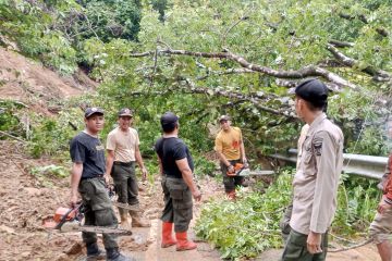 BPBD: Lokasi longsor di Sungai Pisang Padang capai 10 titik