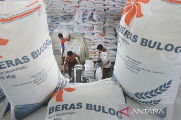 Kemarin, stok beras cukup hingga neraca transaksi berjalan surplus