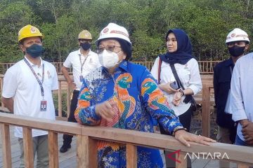 KLHK: Restorasi mangrove bukti komitmen RI pada G20