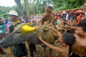 Gebyar Pesona Talago Biru Nagari Atar, Kabupaten Tanah Datar