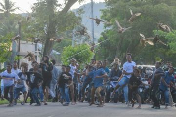 Olahraga pacu itik khas Payakumbuh, Sumbar