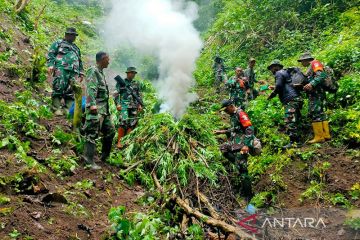 Kemarin, imbauan BNPT hingga temuan ladang ganja