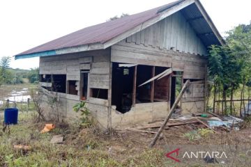 Lima ekor gajah rusak rumah dan kebun warga di Nagan Raya Aceh