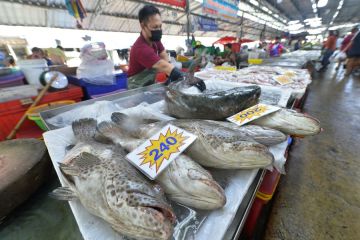 Inflasi konsumen Thailand sentuh level tertinggi dalam 14 tahun
