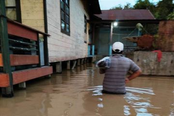 Banjir rendam enam desa di Pulang Pisau Kalteng