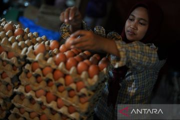 HARGA TELUR DUA KALI NAIK DALAM SEPEKAN