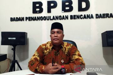 BPBD laporkan 73,5 hektare sawah di Provinsi Bengkulu terdampak banjir