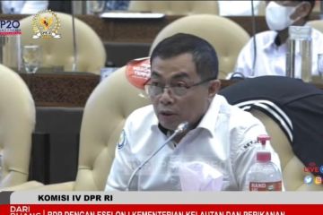 KKP jelaskan alokasi tambahan anggaran 2023 ke DPR