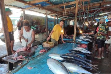 Nelayan Manokwari ingin ekspor langsung ikan tuna ke luar negeri