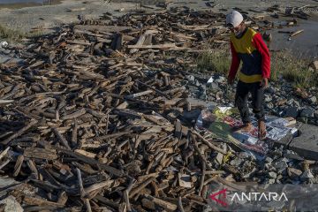 Pemanfaatan Kayu Hanyut Untuk Bahan Bakar
