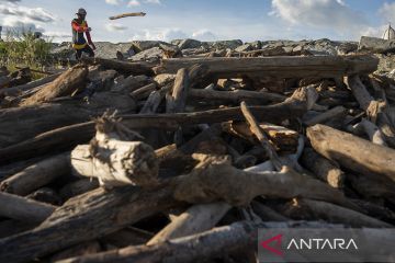 Pemanfaatan Kayu Hanyut Untuk Bahan Bakar