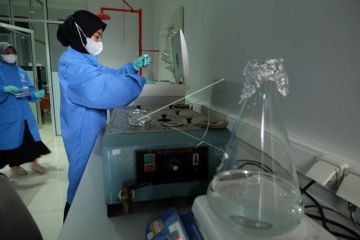 Pengembangan tanaman obat tradisional