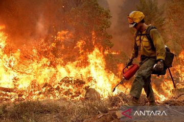 Kebakaran hutan di California terus berlanjut