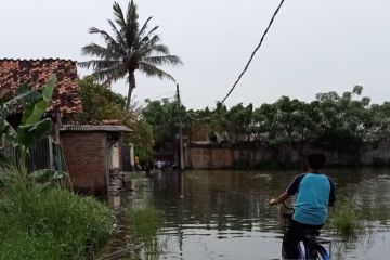Dua RT di Kosambi Tangerang terendam banjir