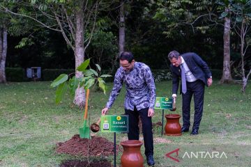 Delegasi G20 tanam puluhan benih pohon untuk warisan budaya