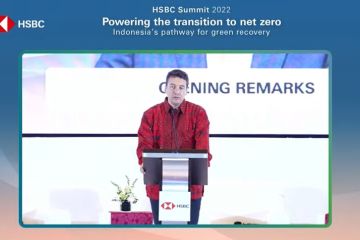 Perbankan multinasional apresiasi transisi energi prioritas RI di G20