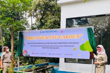 DKI luncurkan "urban healing garden"  untuk warga Jakarta