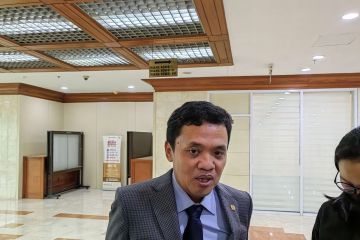 MKD DPR RI akan panggil Effendi Simbolon pada Kamis