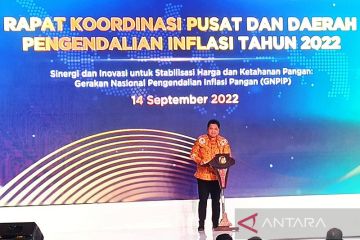 Menko Airlangga sebut delapan langkah kendalikan inflasi daerah