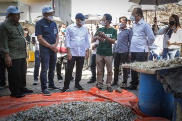 Teten: Program solar untuk koperasi nelayan di Surabaya siap uji coba