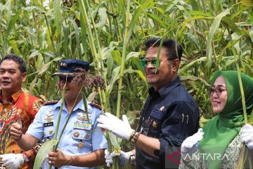 Mentan ajak akselerasi ketahanan pangan nasional dengan sorgum