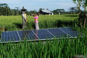 Solusi Indonesia hadapi kondisi ketidakpastian global