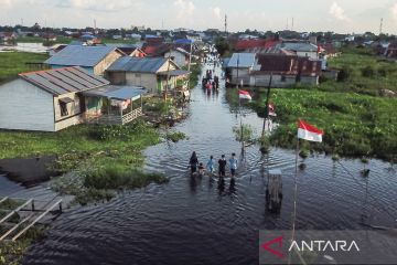 Banjir merendam permukiman di Palangka Raya