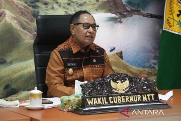 Wagub minta Pemda se-NTT daftarkan tenun ikat jadi Indikasi Geografis