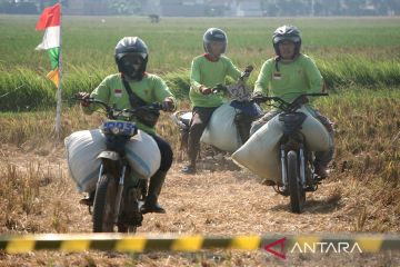 Aksi para ojek gabah ikut balapan motor