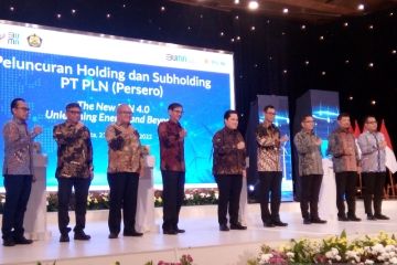 Holding dan subholding PLN dorong RI jadi bagian rantai pasok global