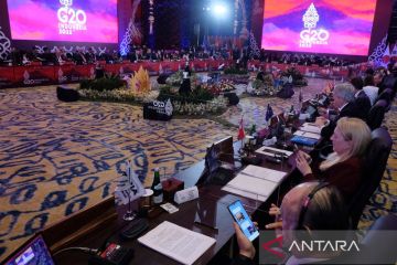 TIIMM G20 peluang RI memperluas dan memperkuat kemitraan dagang