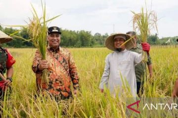 Mandiri benih menuju kedaulatan pangan