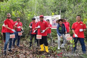 Telkomsel tanam 20 ribu bibit mangrove di BPM