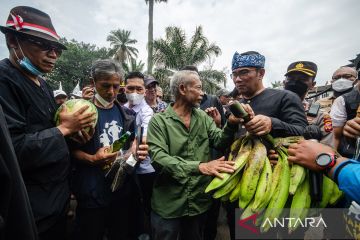 Aksi pembaharuan agraria