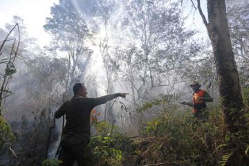 KLHK: Kebakaran hutan-lahan utamanya disebabkan oleh aktivitas manusia